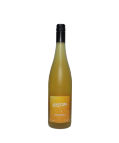 Steijn